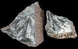 Metallic Pyrolusite on Matrix Wholesale Lot - Pieces #61610-1